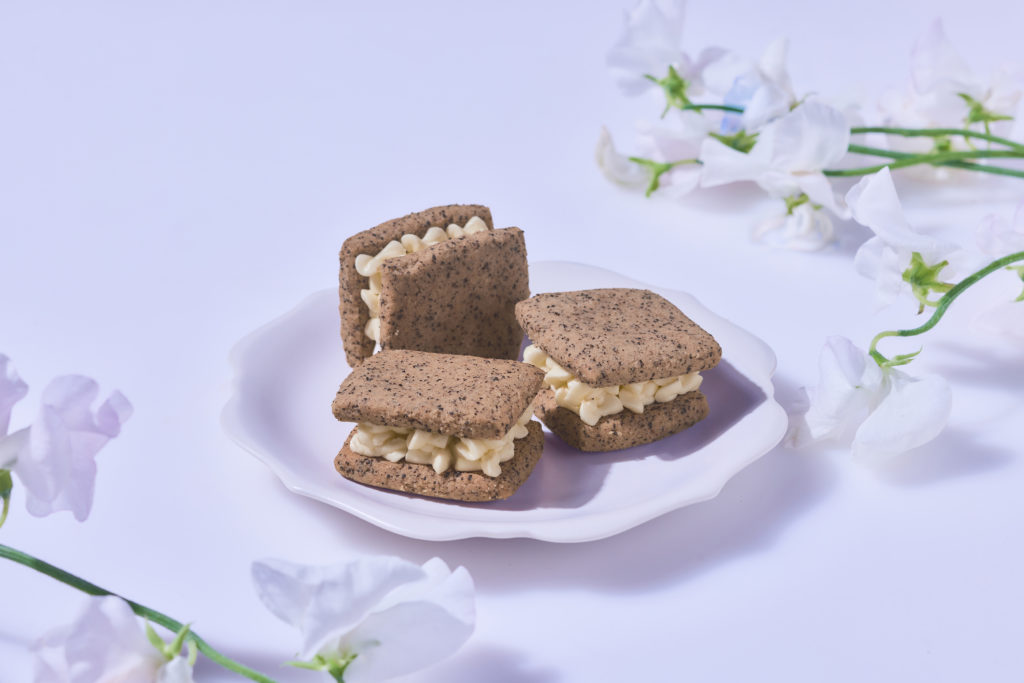 katomi work2026022016_buttercream